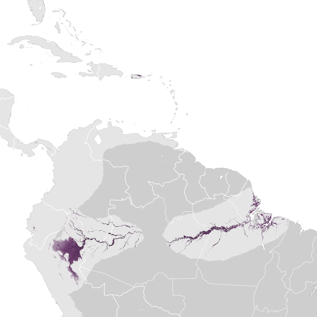 Abundance Map