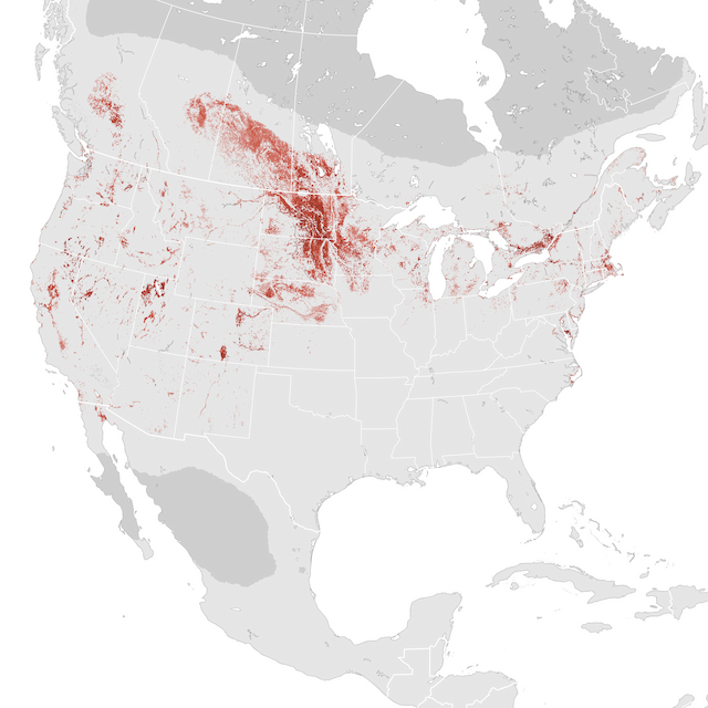 Abundance Map