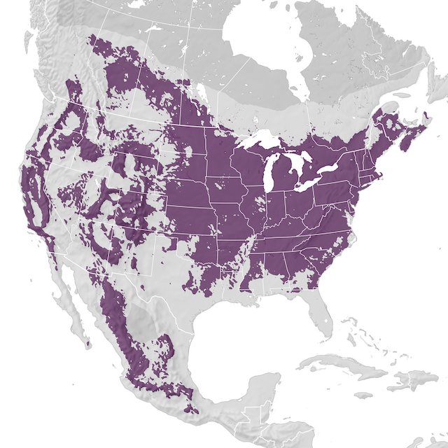 Range Map
