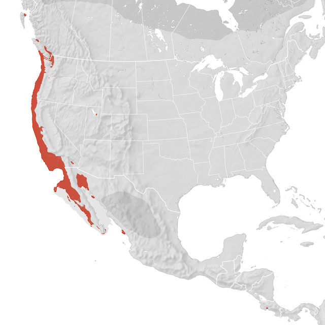 Range Map