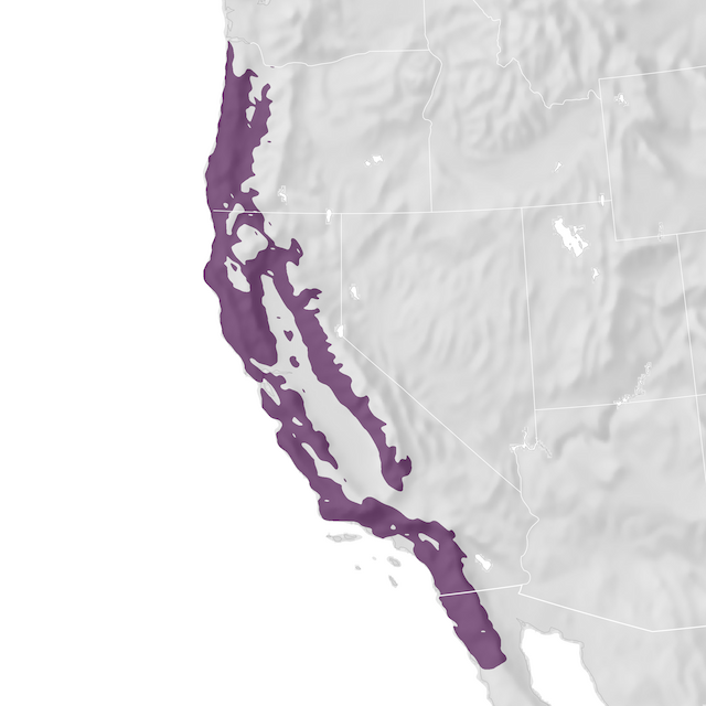 Range Map