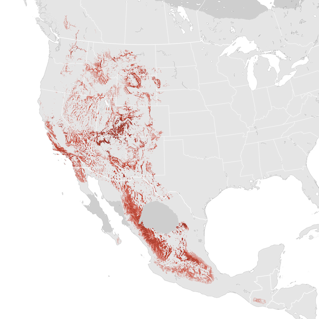Abundance Map