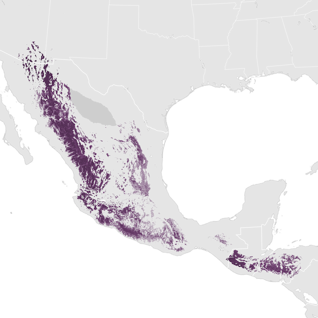 Abundance Map