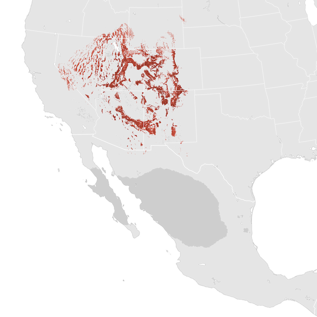 Abundance Map