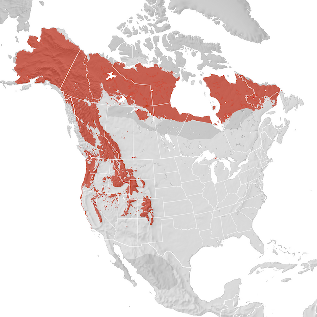 Range Map