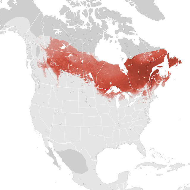 Abundance Map