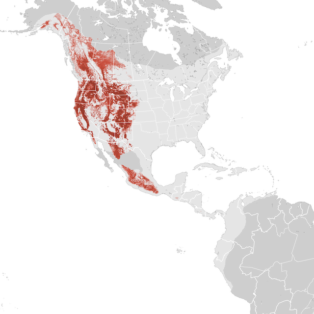 Abundance Map