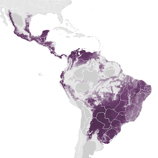 Abundance Map