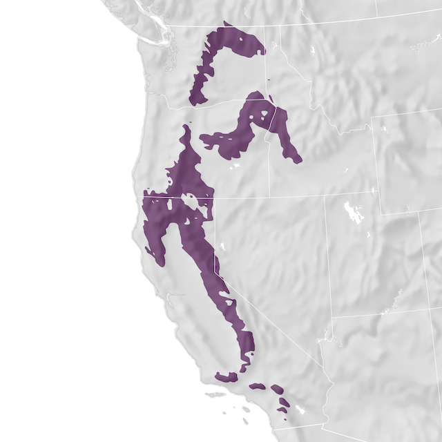 Range Map