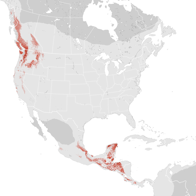 Abundance Map