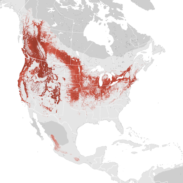 Abundance Map