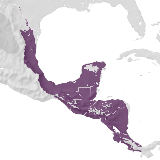 Range Map