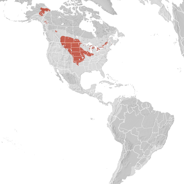 Range Map
