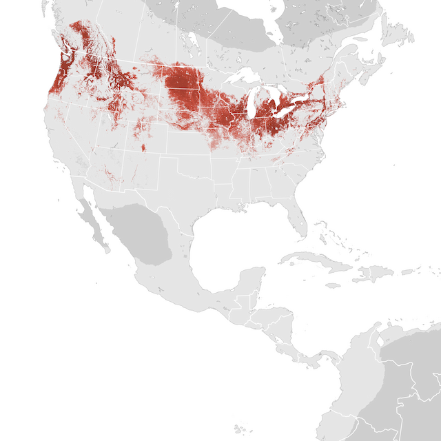 Abundance Map
