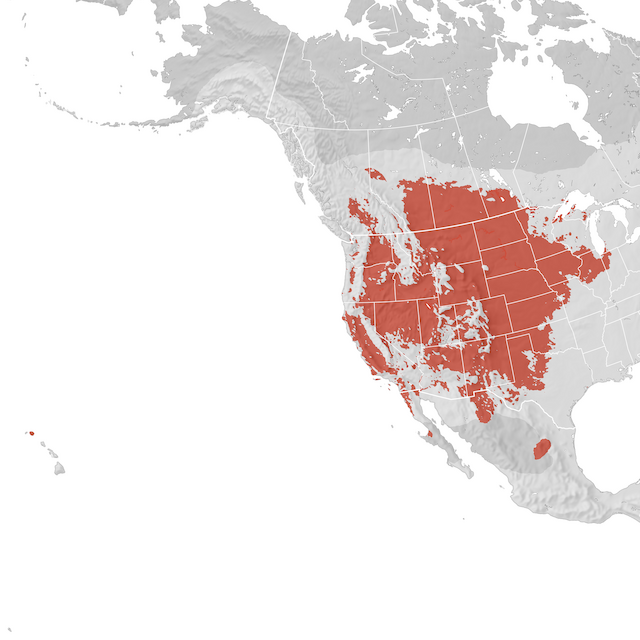 Range Map