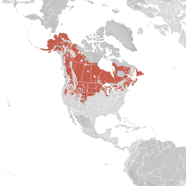 Range Map
