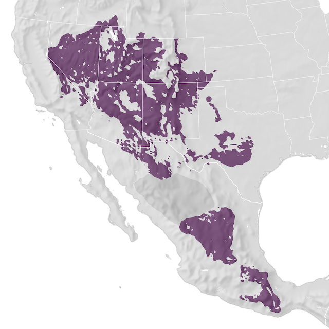 Range Map