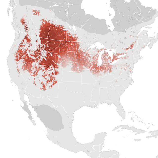 Abundance Map