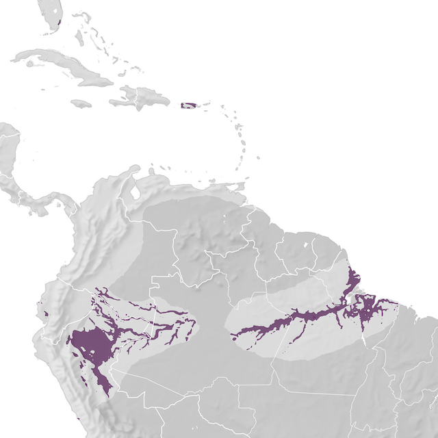 Range Map