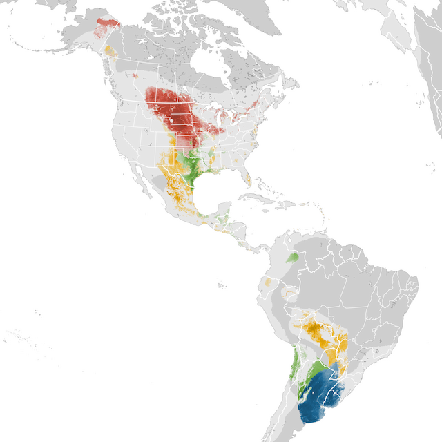 Abundance Map