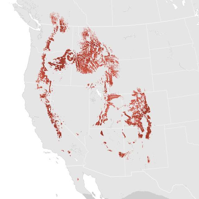 Abundance Map