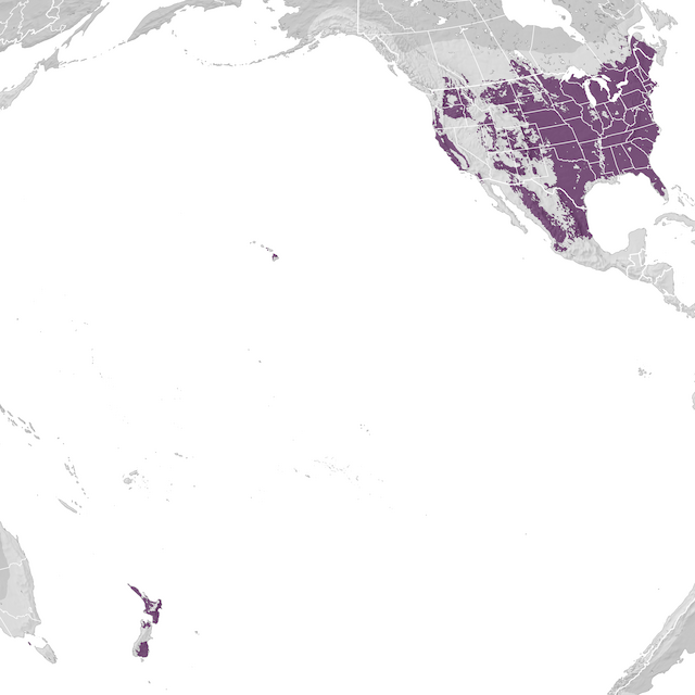 Range Map