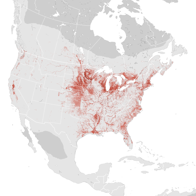 Abundance Map