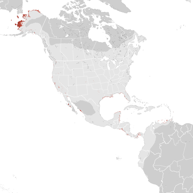 Abundance Map