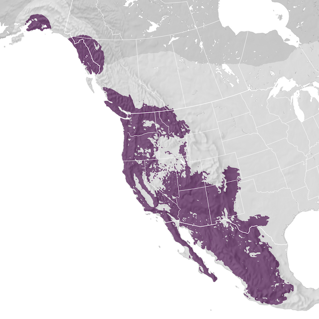 Range Map