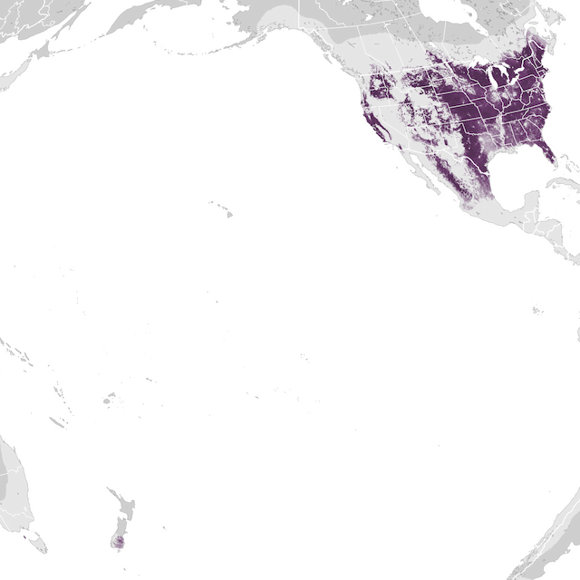 Abundance Map