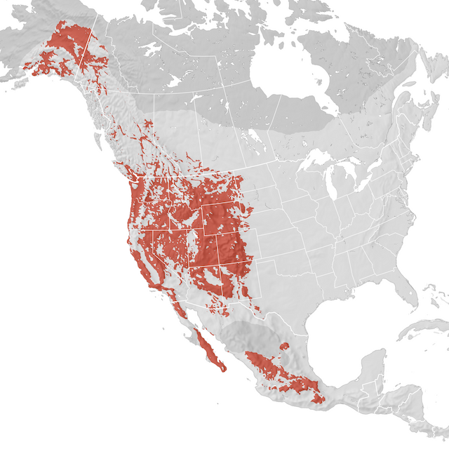 Range Map