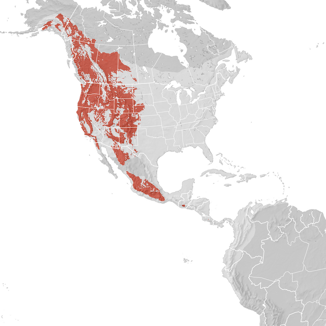 Range Map