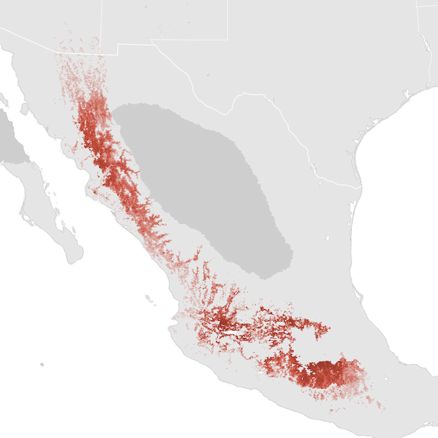 Abundance Map