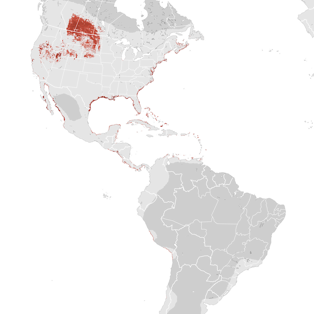 Abundance Map