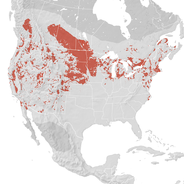 Range Map