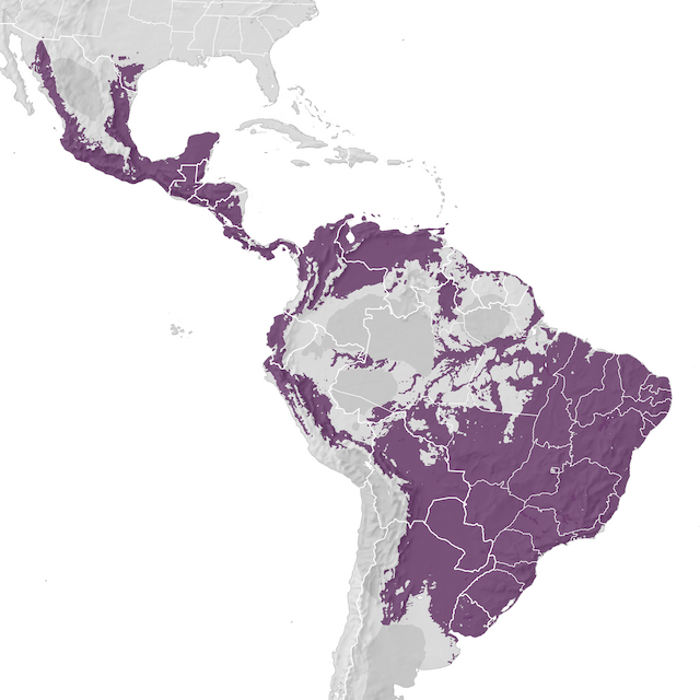 Range Map