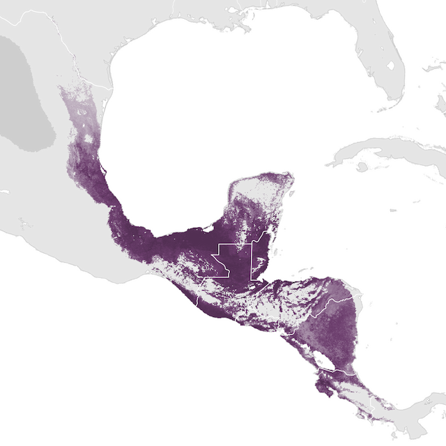Abundance Map