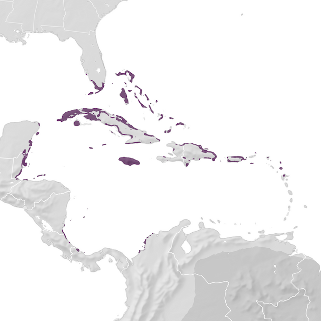 Range Map