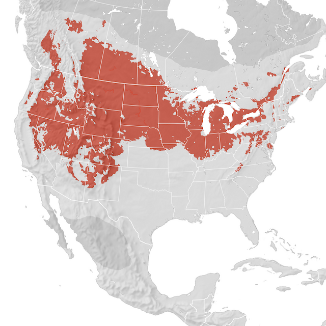 Range Map