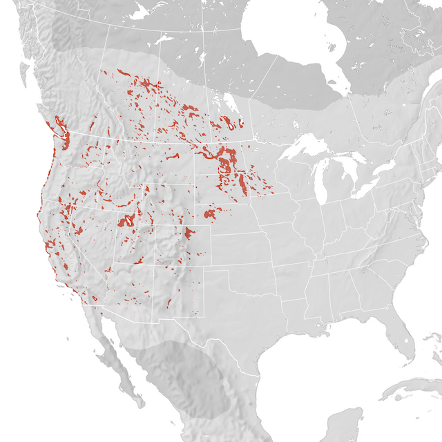 Range Map