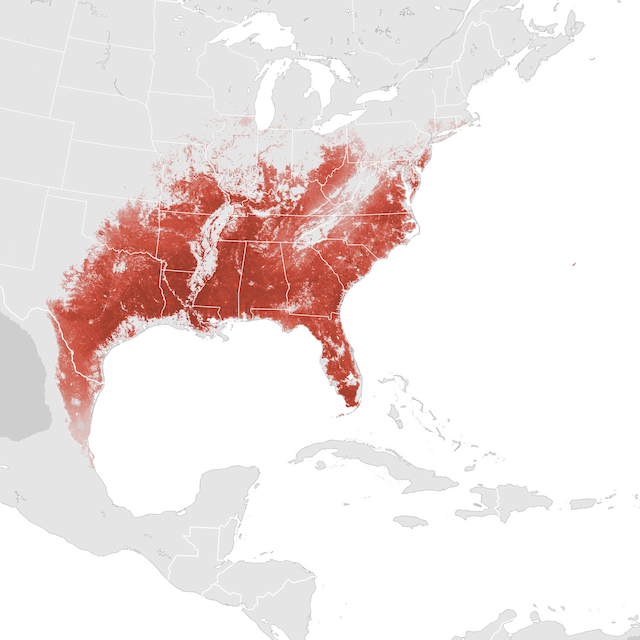 Abundance Map