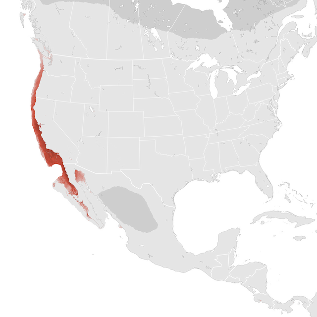 Abundance Map