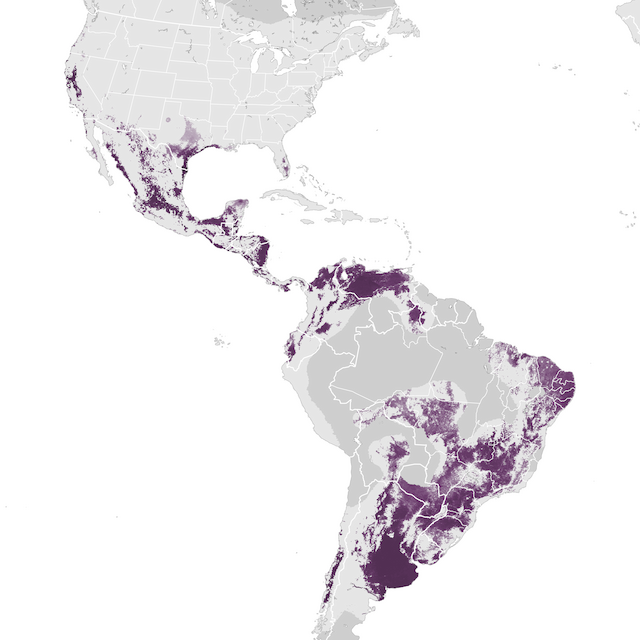 Abundance Map