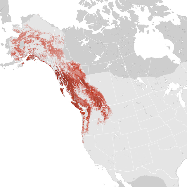 Abundance Map