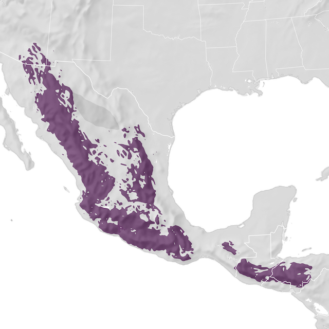 Range Map