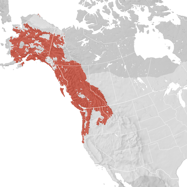 Range Map