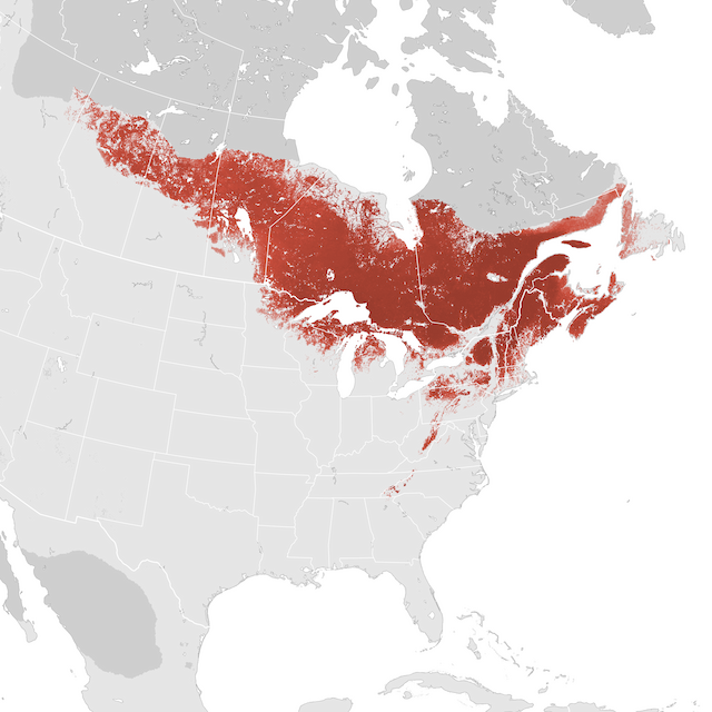 Abundance Map