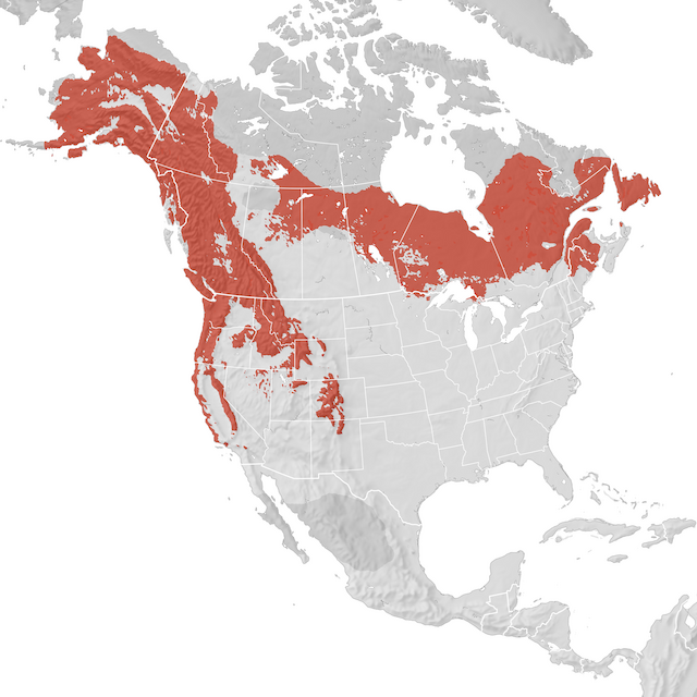Range Map