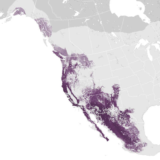 Abundance Map
