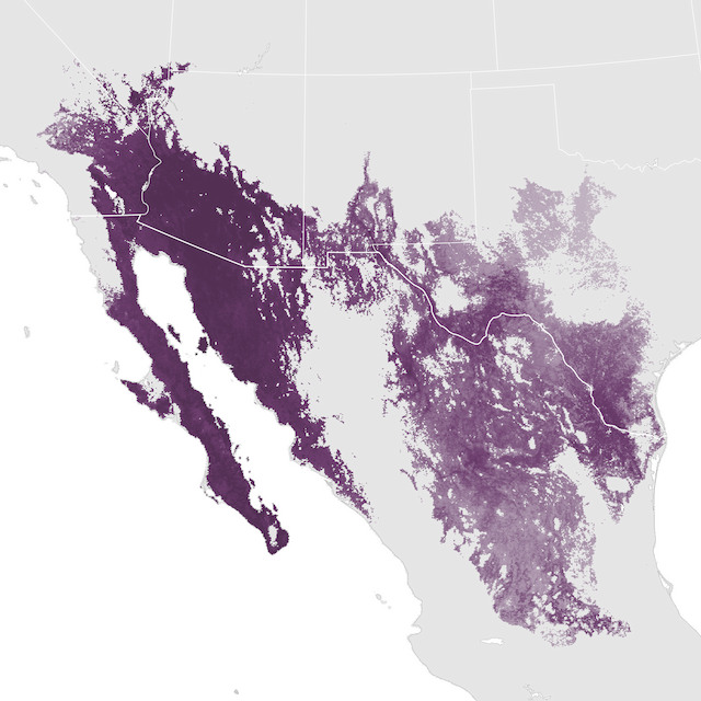 Abundance Map